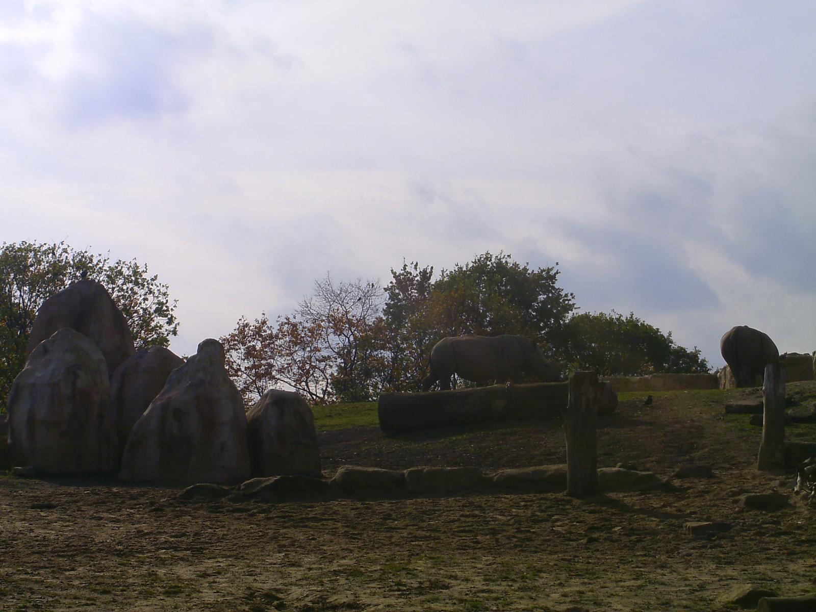 Zoom 18.10.08-124.jpg